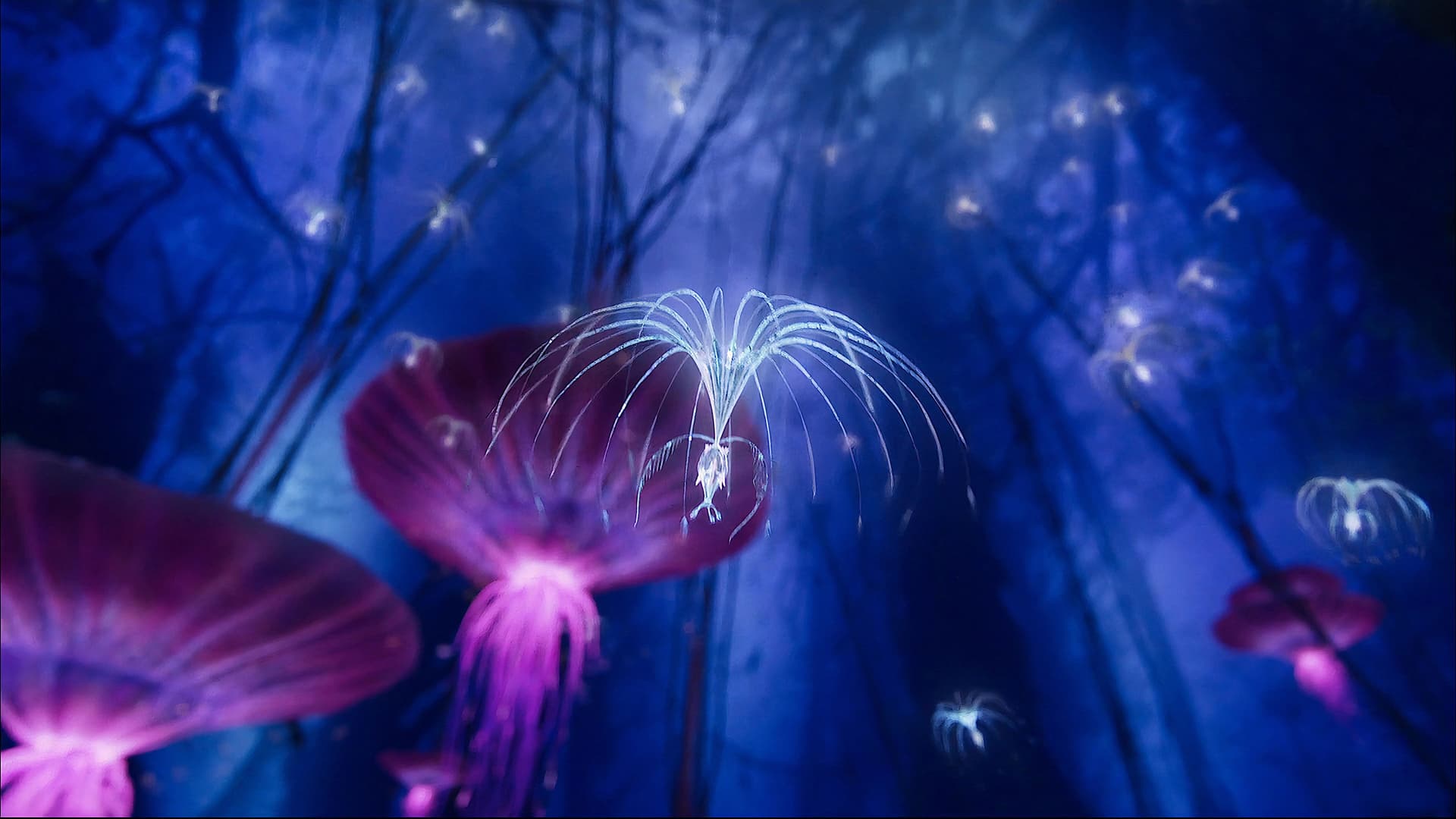 Avatar: Creating the World of Pandora