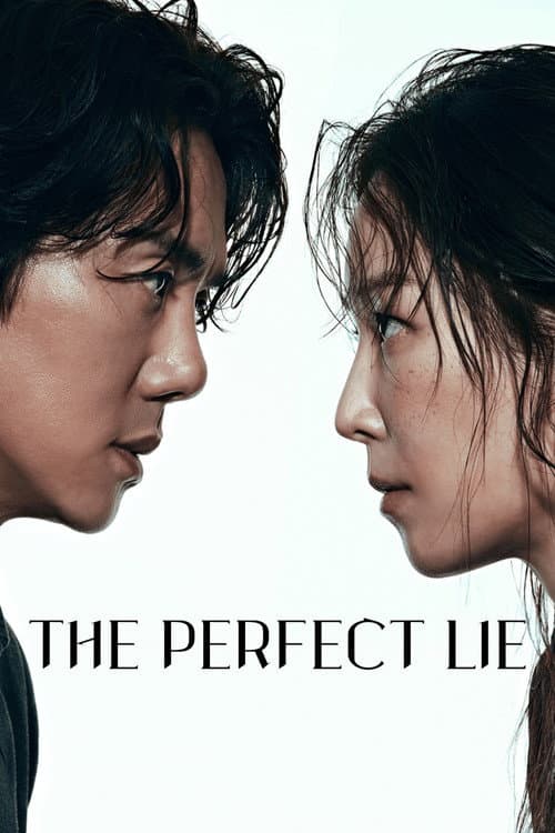 The Perfect Lie poster